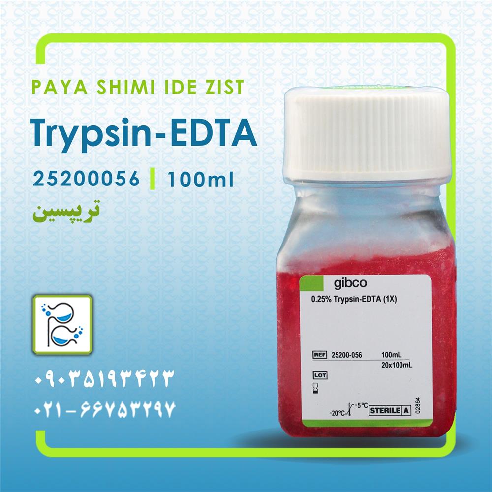 تریپسین ادتا
