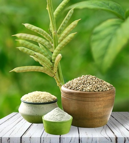 گوارگام