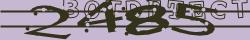 Retype the CAPTCHA code from the image
